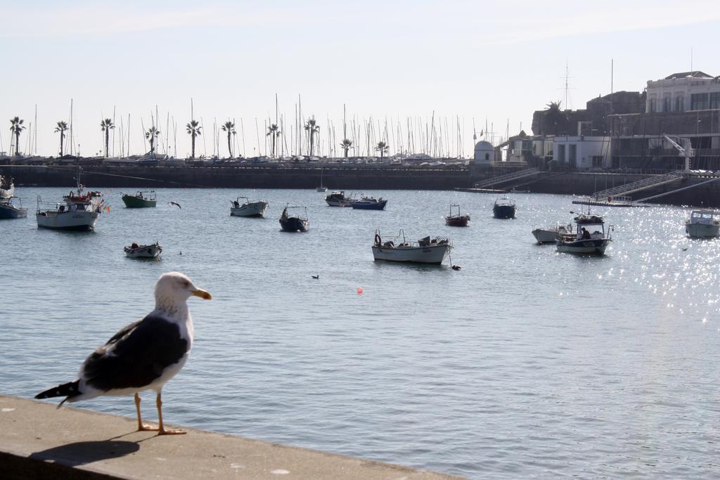 Charming Cascais Apt. Chambre photo